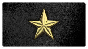 DSC700 430 GD BK Star Gold Black